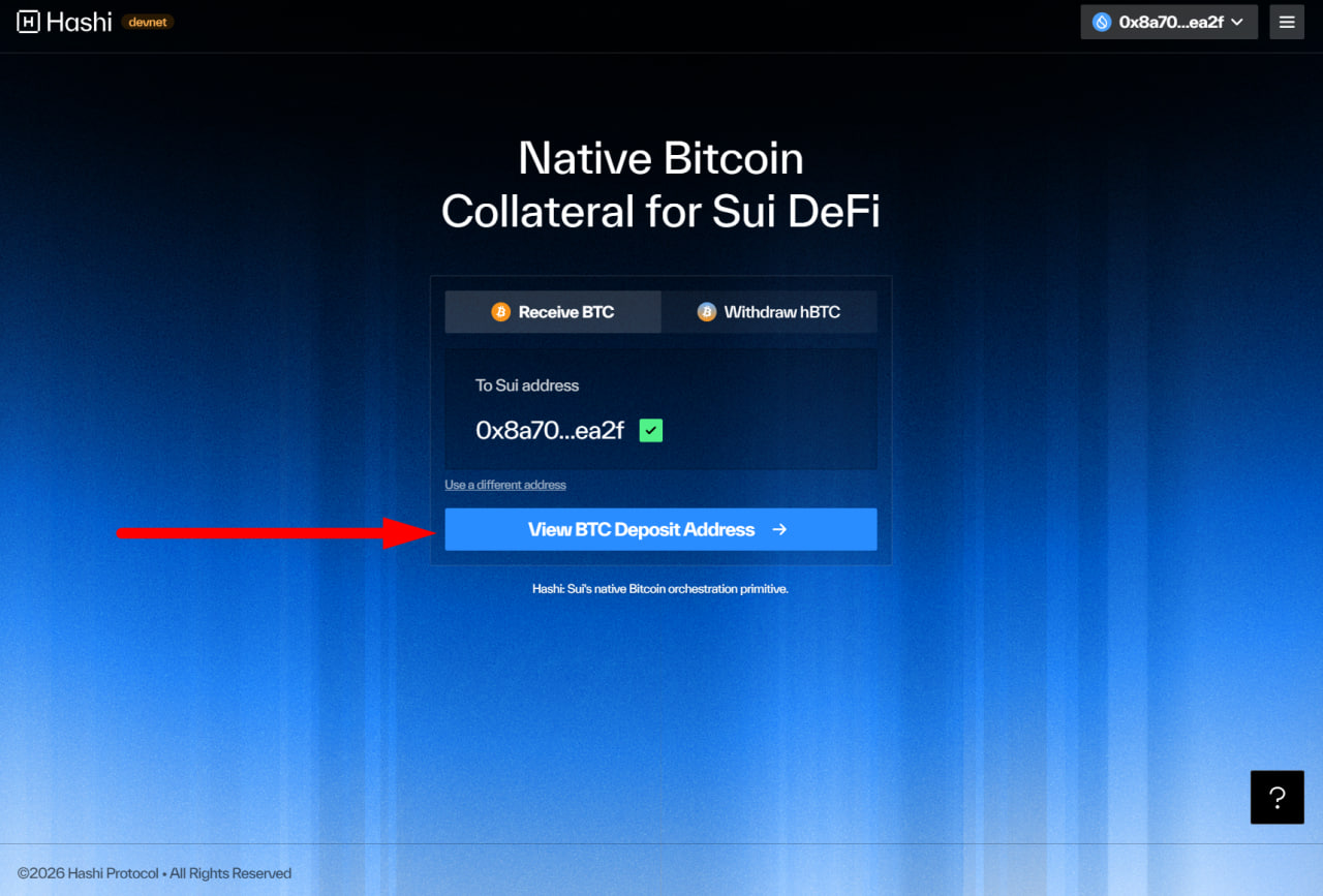 Hashi Devnet image 1