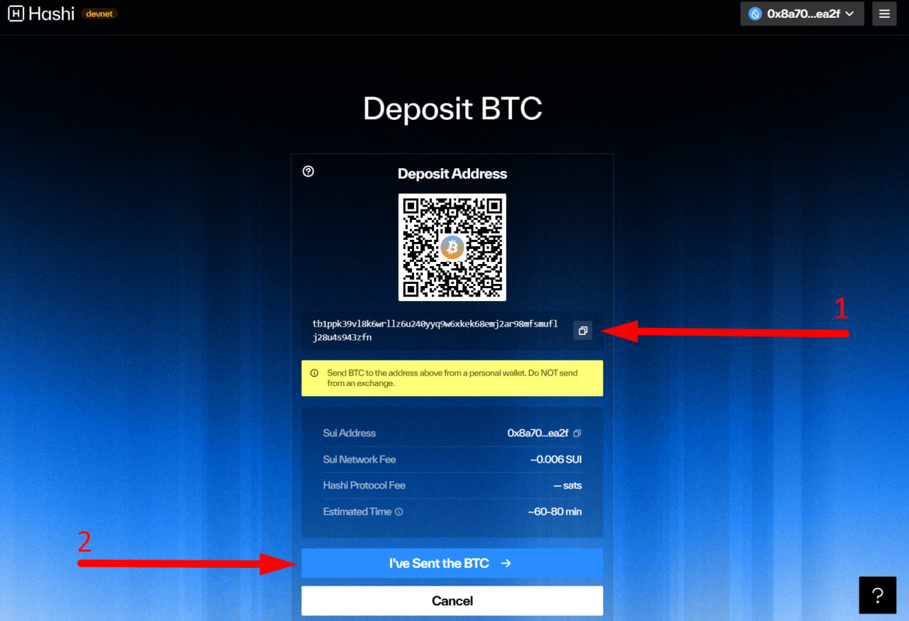 Hashi Devnet image 2