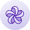 Bloom logo