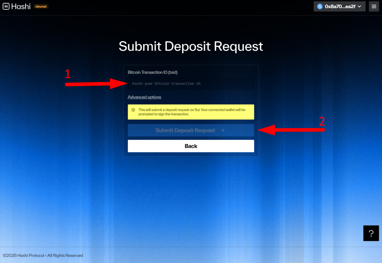 Hashi Devnet image 3
