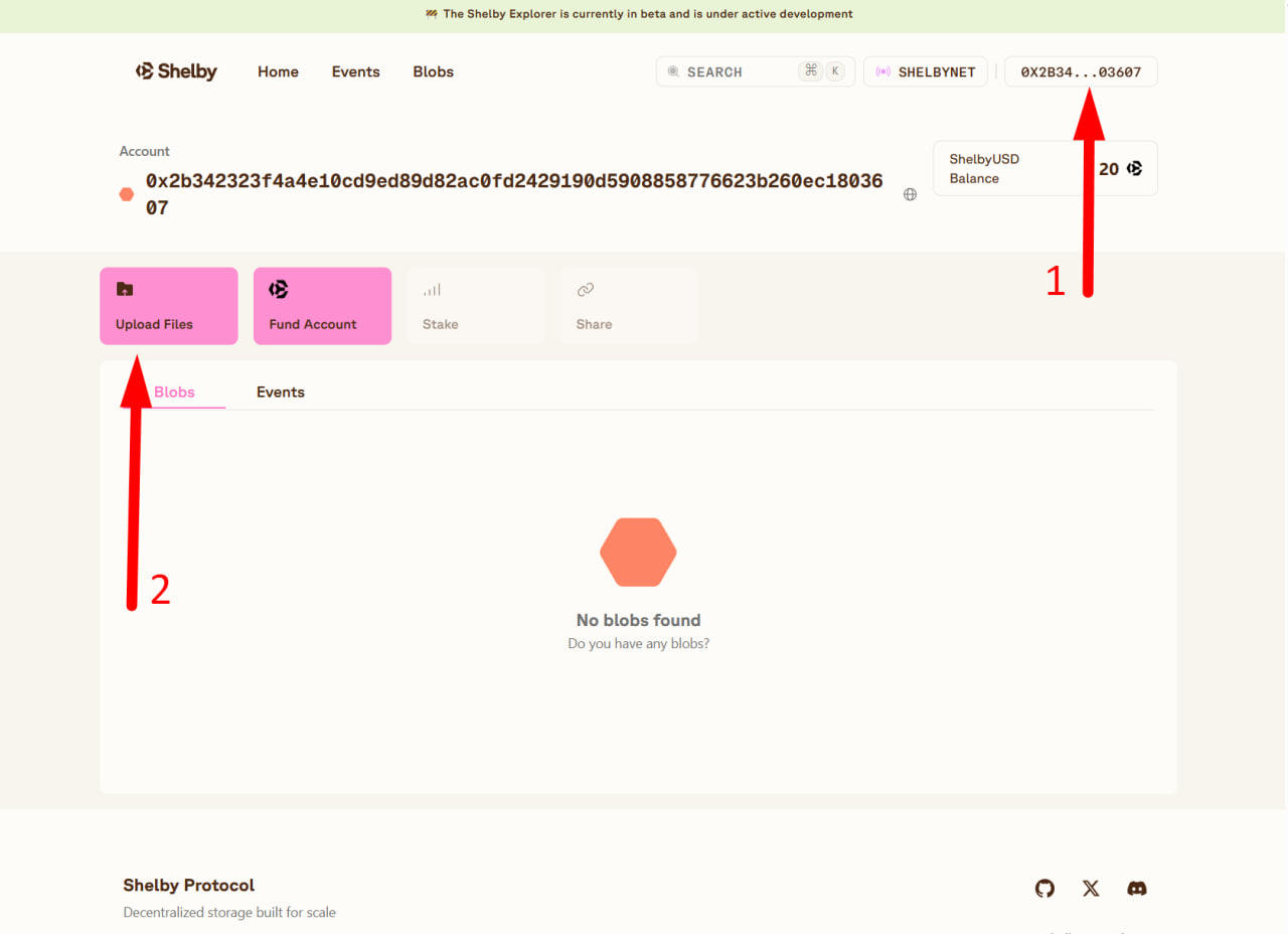 Testnet image 4